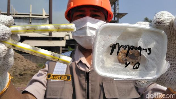 Petugas menunjukkan kalajengking yang turut dimusnahkan