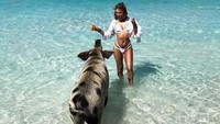 Liburan ke Bahama sudah sering mereka lakukan. Mereka asyik saja main di pantai yang dipenuhi babi ini. (Instagram/@richrussiankids)