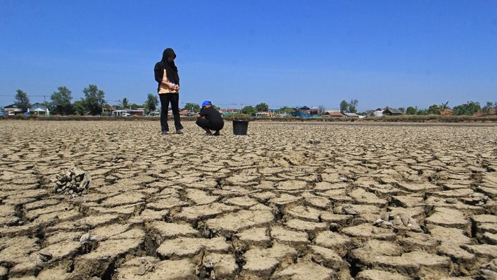 Musim kemarau mulai tiba di Indonesia. Krisis air bersih dan Kekeringan mengancam para petani di beberapa daerah mengalami gagal panen.