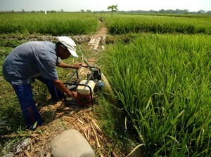 Akses Permodalan Dipermudah, Kesejahteraan Petani Bisa Naik