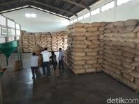 Begini Proses Pengolahan Biji Kopi di Pabrik Kopi yang Berusia Seabad 