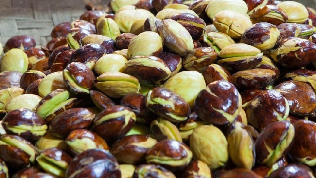 Busyet! Harga Jengkol Setara Daging Sapi