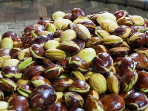 Busyet! Harga Jengkol Setara Daging Sapi