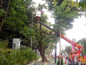 Tiang Halang Rintang Dicabut, Tiang Lampu Dipasang Dekat Taman GBK