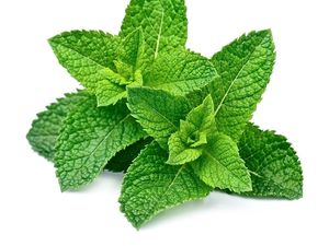 7 Manfaat Daun Mint yang Nggak Disangka