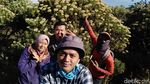 Bunga Abadi di Puncak Gunung Ciremai Kemarau Ini