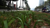 Trotoar pun kini lebih asri.