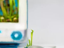 Keren! Pria Ini Ubah Komputer Apple Bekas Jadi Pot Tanaman