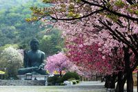 (dok Korea Tourism Organization)