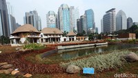 Di tengah hutan kota, terdapat kolam kecil.