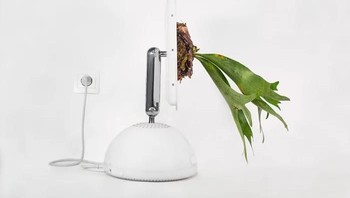 Untuk melihat karya Guinet lainnya, bisa mengakses laman resminya monsieurplant.com. Foto: monsieurplant