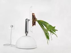 Keren! Pria Ini Ubah Komputer Apple Bekas Jadi Pot Tanaman