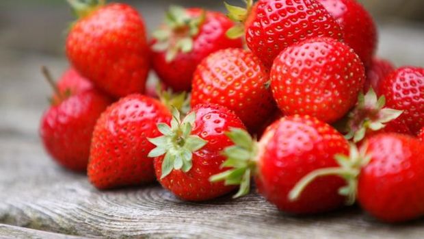 Strawberry salah satu buah yang cocok jadi teman diet.