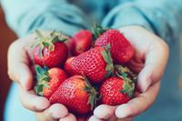 Strawberry Bisa Bantu Turunkan Berat Badan, Ini 5 Faktanya