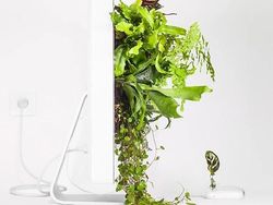 Keren! Pria Ini Ubah Komputer Apple Bekas Jadi Pot Tanaman