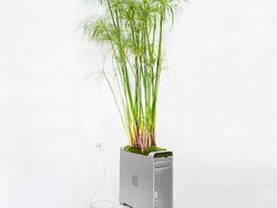 Keren! Pria Ini Ubah Komputer Apple Bekas Jadi Pot Tanaman