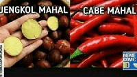 Kalau mau pamer, bisa nih pakai meme ini! Harga jengkol yang mahal ditambah cabe yang juga mahal bisa bikin kita diklaim jadi orang kaya, hihihi... Foto: Istimewa
