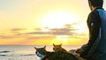 Lucu! Kisah Pebisnis yang Traveling Bareng Dua Kucingnya