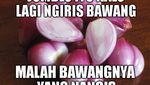 Bumbu Dapur Juga Bisa Bikin Ngakak Kalau Jadi 10 Meme Ini