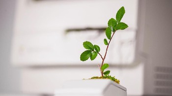 Kali ini dia menggunakan sejumlah komputer bekas Apple. Foto: monsieurplant
