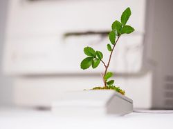 Keren! Pria Ini Ubah Komputer Apple Bekas Jadi Pot Tanaman