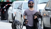 Ia hanya memiliki tinggi 4 kaki 5 inci atau 135 cm. Foto: Instagram/peterdinklage
