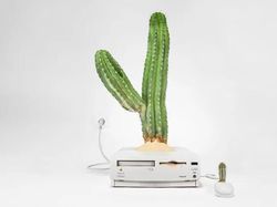 Keren! Pria Ini Ubah Komputer Apple Bekas Jadi Pot Tanaman