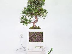 Keren! Pria Ini Ubah Komputer Apple Bekas Jadi Pot Tanaman