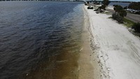 Fenomena laut alga merah atau disebut juga red tide di Pantai Florida, Amerika Serikat ini terjadi ketika alga mikroskopis beracun tumbuh dengan cepat di lautan. Hal ini ditandai dengan perubahan warna air laut yang menjadi merah, coklat, kuning, atau hijau. Joe Raedle/Getty Images.