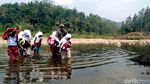 Miris, Anak-anak di Sukabumi Terobos Sungai untuk Sekolah