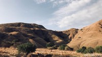 detikTravel baru-baru ini mengunjungi Gili Lawa. Berada di bagian utara dari Pulau Komodo, Gili Lawa adalah pulau yang cantik (Indah Novita Sari/detikTravel) (Indah Novita Sari/detikTravel)