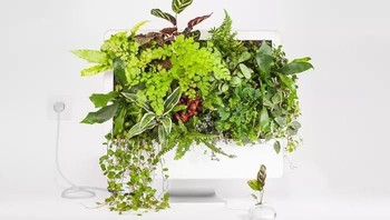 Butuh tiga hari untuk Guinet membuat komputer Apple jadi sebuah pot tanaman. Foto: monsieurplant