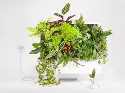 Keren! Pria Ini Ubah Komputer Apple Bekas Jadi Pot Tanaman