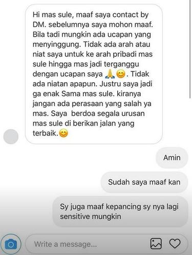Singgung Masalah Pernikahan, Ini Bukti Shandy Aulia Minta Maaf ke Sule