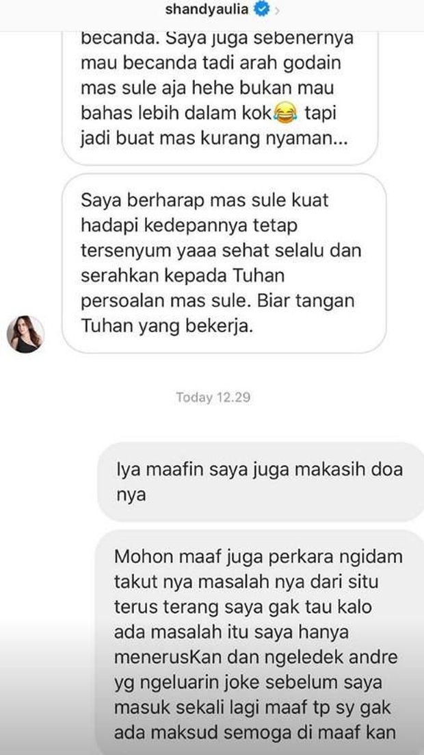 Sule Turut Minta Maaf ke Shandy Aulia karena Singgung soal Ngidam