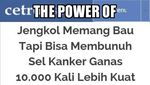 Stress Jengkol Mahal? Yuk, Intip Dulu Meme Jengkol Kocak Ini