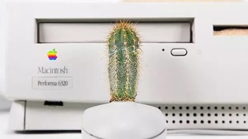 Foto: monsieurplant
