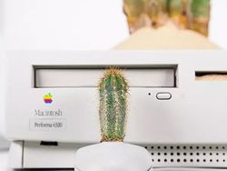 Keren! Pria Ini Ubah Komputer Apple Bekas Jadi Pot Tanaman