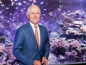 Perdana Menteri Australia Bela Keputusan Donasi Rp 4,44 Triliun