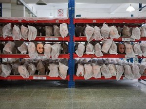 Lika-liku Pengembangan Robot Seks Berbasis AI di China