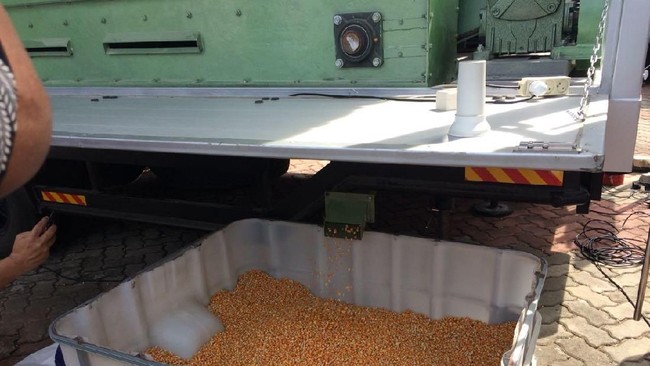 Izin Impor Terbit, 100.000 Ton Jagung Brasil dan Argentina Serbu RI