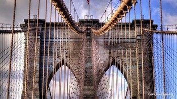 Karya finalis Carol8345. Camera: PENTAX K-50, Aperture: f/7.1, ISO: 100, Shutter Speed: 1/320, Focal Length: 125/2. Foto: Viewbug