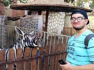Duh! Keledai di Kebun Binatang Mesir Dicat Belang Biar Mirip Zebra