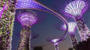 Karya James-Fraser. Camera: Canon EOS 5D Mark III, Aperture: 4/1, ISO: 12800, Shutter Speed: 1/30, Focal Length: 24/1. Foto: Viewbug