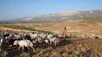 Orang-orang nomaden ini ada di Iran. Berjumlah hanya 400.000 (Pascal Mannaerts/BBC Travel)