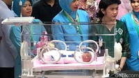 Inilah wajah Sedah Mirah Nasution. Dia juga dibawa saat jumpa pers. 