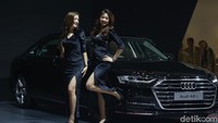 Cantiknya gadis-gadis Audi.