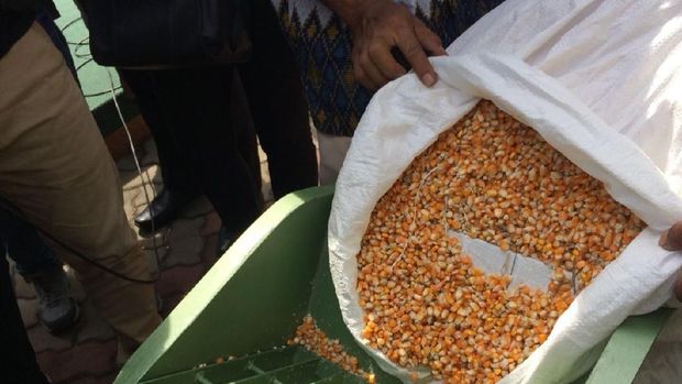 Mesin pengering jagung