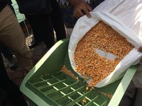 Ini Alasan RI Impor 100.000 Ton Jagung Tahun Ini