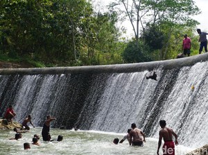 Hormati Waduk Desa, Petani Trenggalek Larung Kepala Kerbau